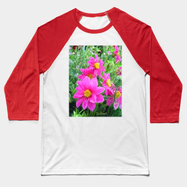 Cosmos Flower Baseball T-Shirt by JonDelorme